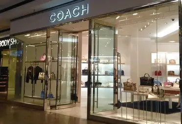Does Coach Have a Credit Card? - Growing Savings